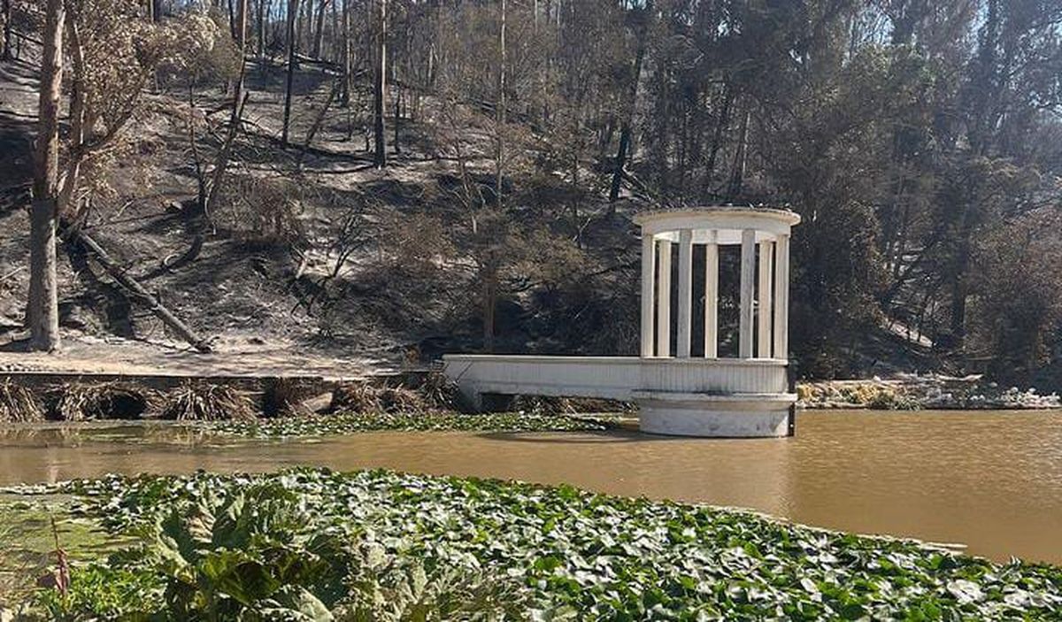 La pergola se mantuvo en pie, ahora luce renovada. La pergola se mantuvo en pie, ahora luce renovada.