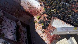 La industria del mosto saldrá a defenderse de unan denuncia de dumpin que presentó el Departamento de Comercio de Estados Unidos. En Mendoza aseguran que carece de sustento jurídico y que el mosto no se vendió por debajo del valor del costo.