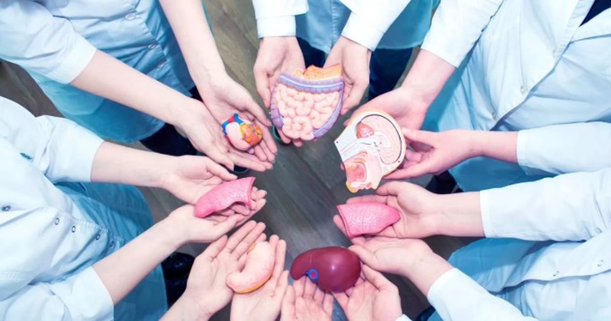 Donar órganos es fundamental para salvar vidas. Donar órganos es fundamental para salvar vidas.