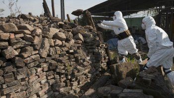 Hay 600 cuerpos de víctimas de la dictadura sin identificar 