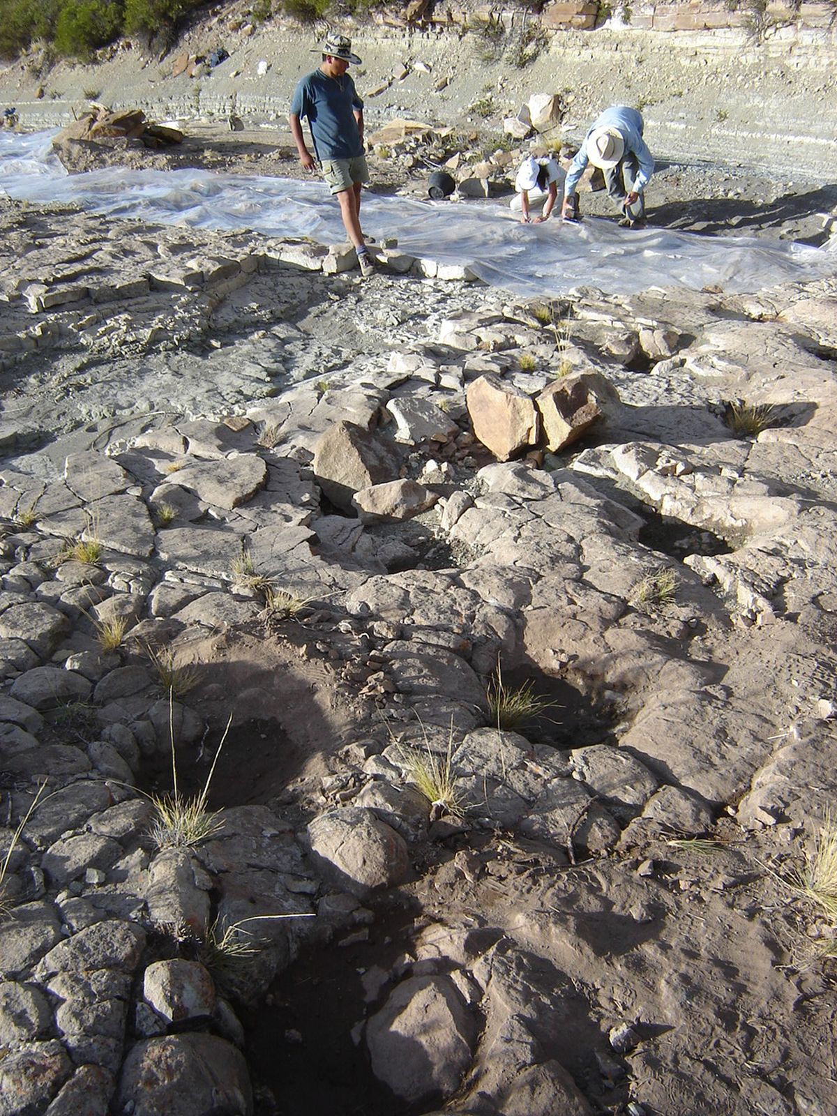 El Sur mendocino está repleto de yacimientos paleontológicos.