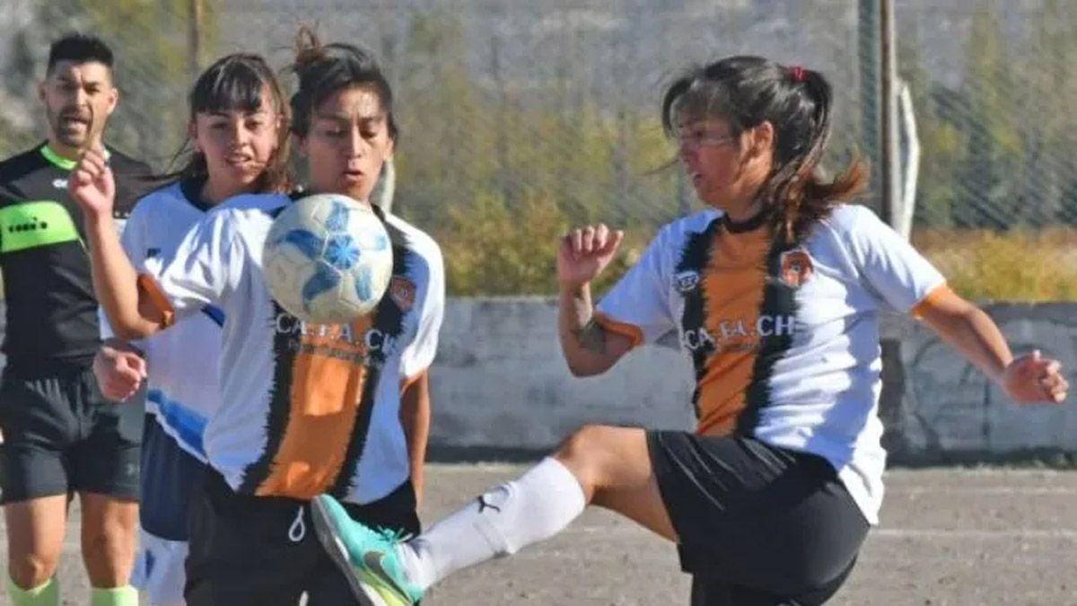 Una jugadora se sacó y agredió al árbitro del partido.