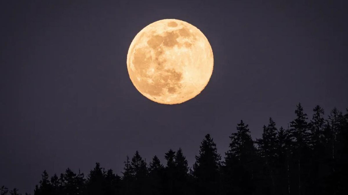 Luna llena de noviembre los tres signos que cambiarán su vida a partir