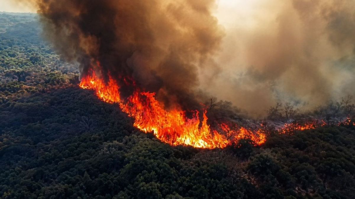 Una vista aérea del incendio que provocó un fuego de asado mal apagado. Foto: Policía&nbsp;