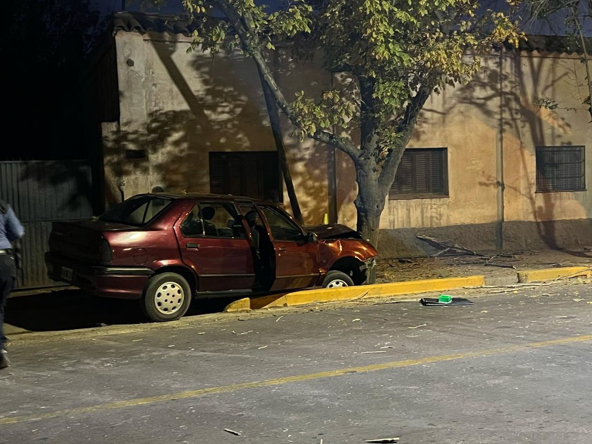 El Renault 19 dio contra un poste de luz y un árbol. Iba una familia y hubo un muerto.