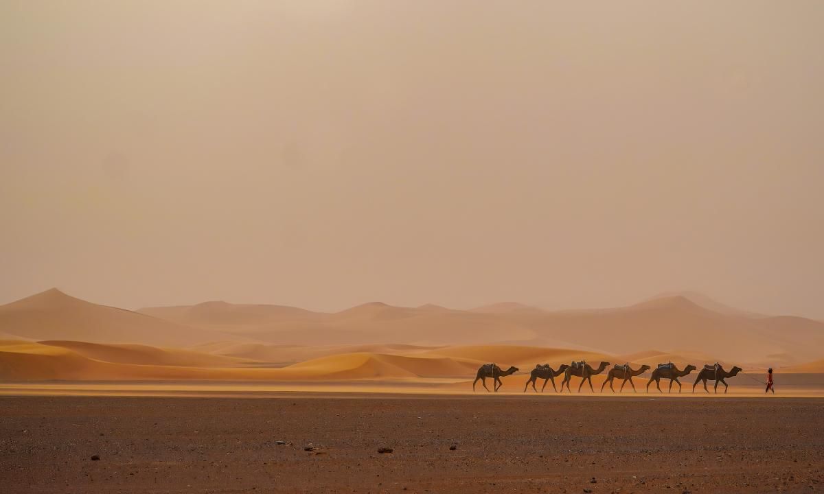 El descubrimiento se realizó en el desierto iraquí.