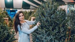 Si elegís un pino de Navidad natural, deberás tener en cuenta estos cuidados.