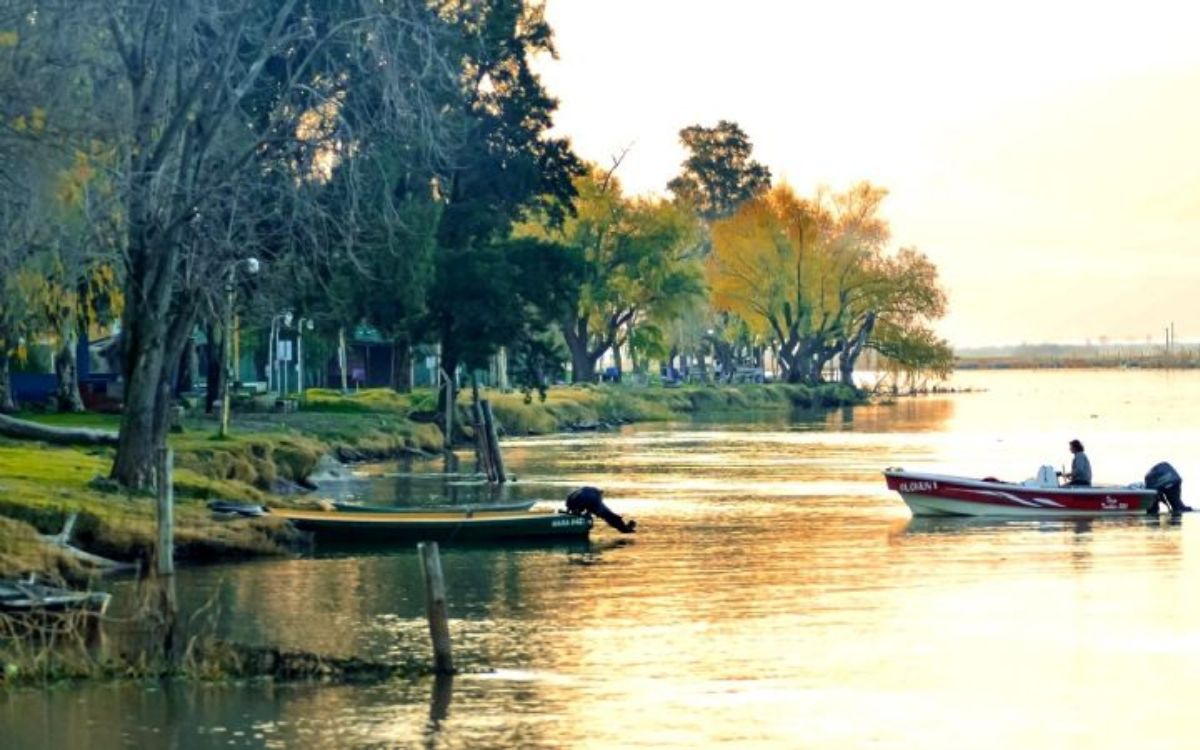 La naturaleza se encuentra en cada centímetro de Baradero. La naturaleza se encuentra en cada centímetro de Baradero.
