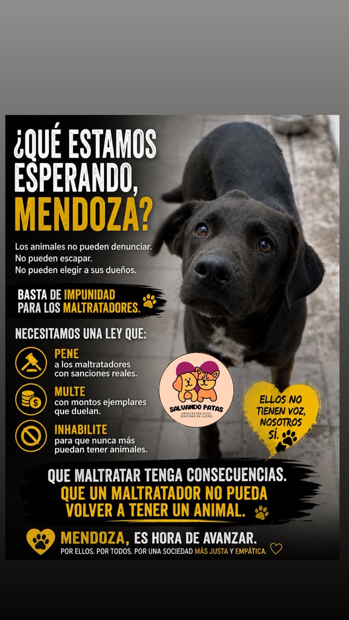 La ONG Salvando Patas publicó un reclamo de justicia para que el maltrato animal no quede impune.  