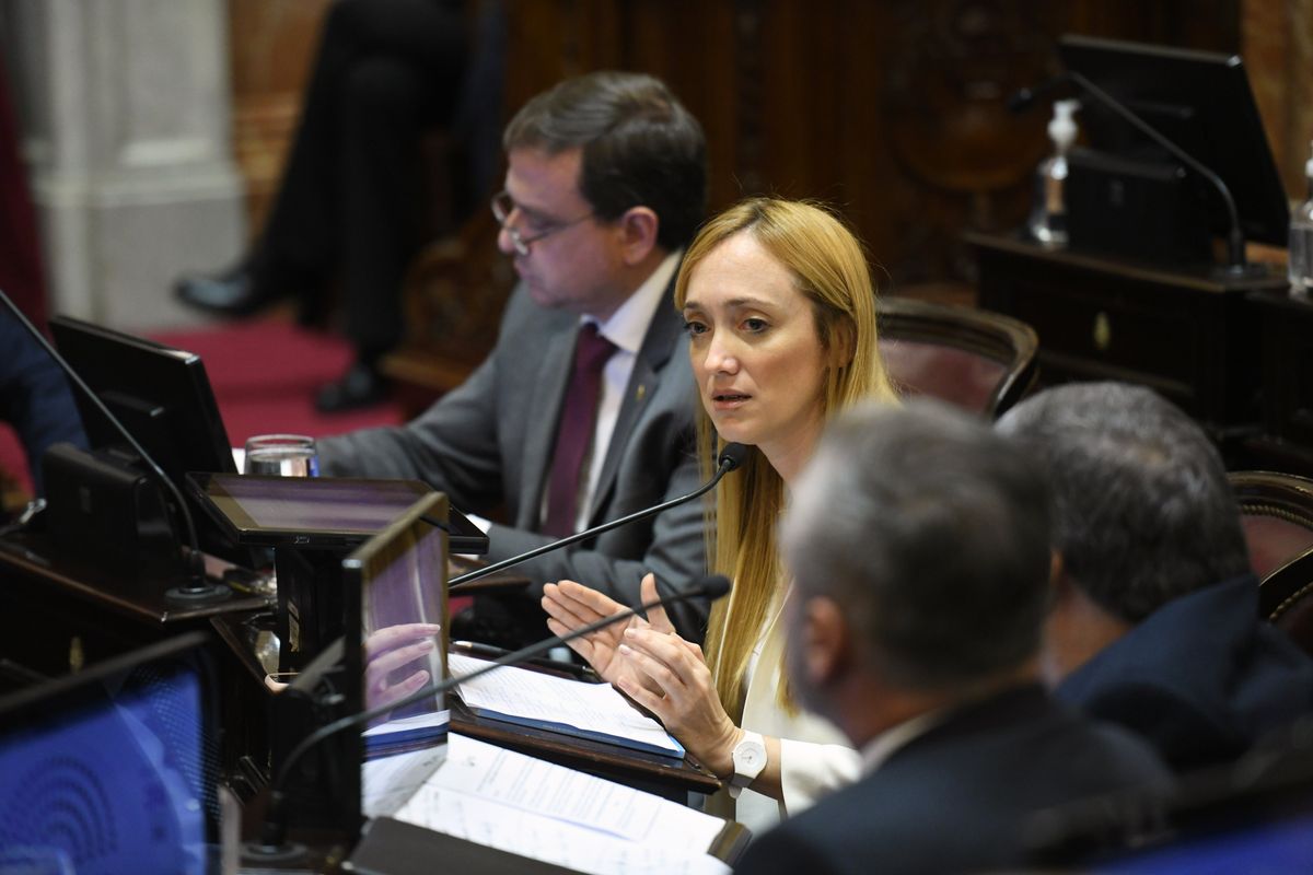 Anabel Fernández Sagasti, del PJ, se ha expresado en contra del proyecto del gobernador para modificar el funcionamiento de la Corte.