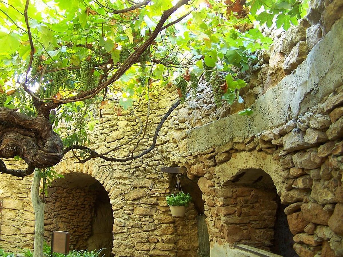 La extensión de los jardines subterráneos es sorprendente, con pasadizos interconectados que revelan la dedicación de su creador La extensión de los jardines subterráneos es sorprendente, con pasadizos interconectados que revelan la dedicación de su creador