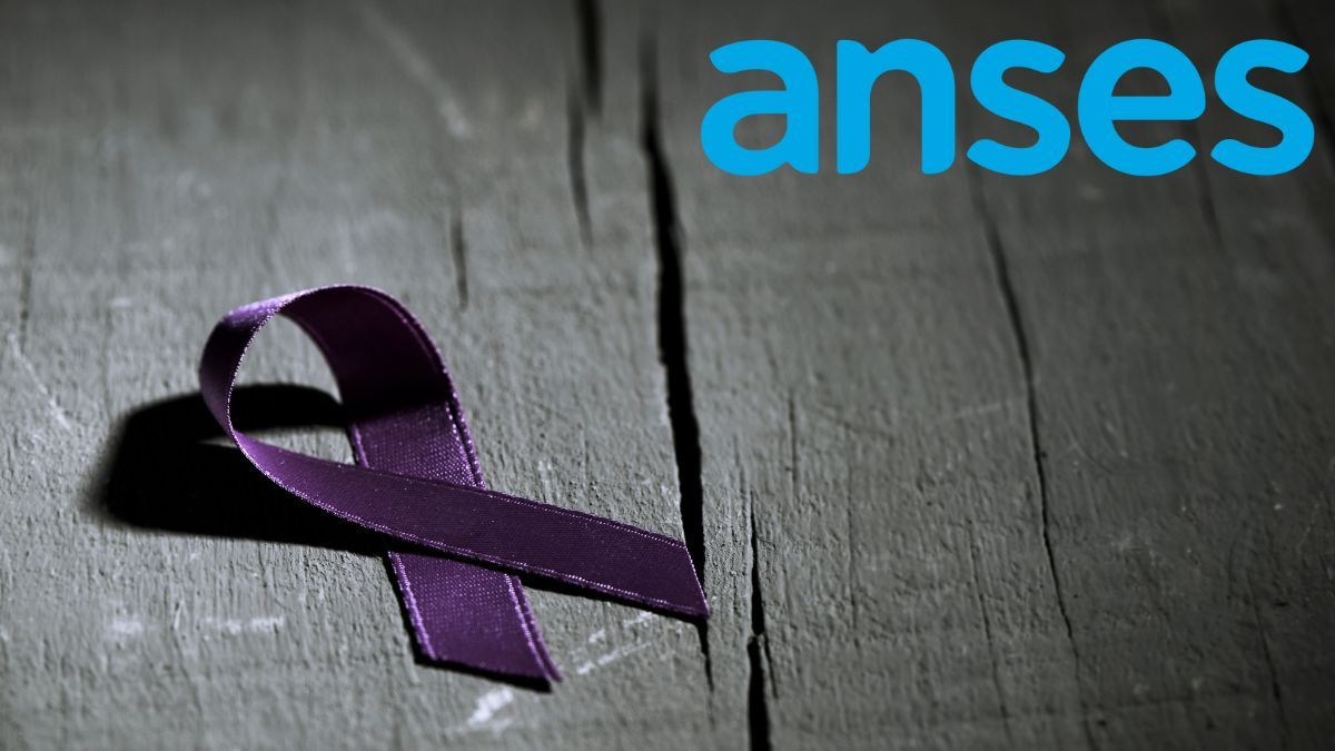 Programa Acompañar. Programa Acompañar.