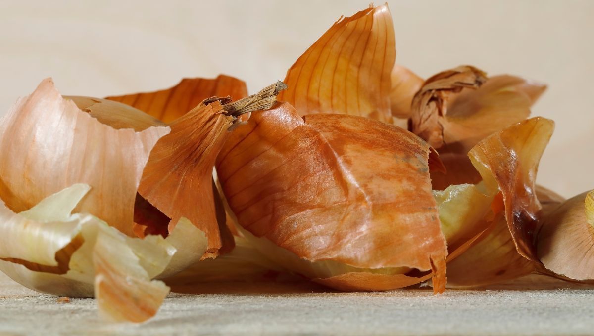 Aprendé a reciclar la piel o cáscara de la cebolla y convertirla en un sazonador delicioso