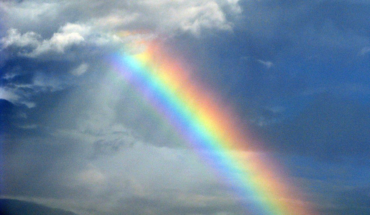 Los rayos de colores del arcoíris se forman por la refracción y la reflexión interna de los rayos de luz Los rayos de colores del arcoíris se forman por la refracción y la reflexión interna de los rayos de luz 