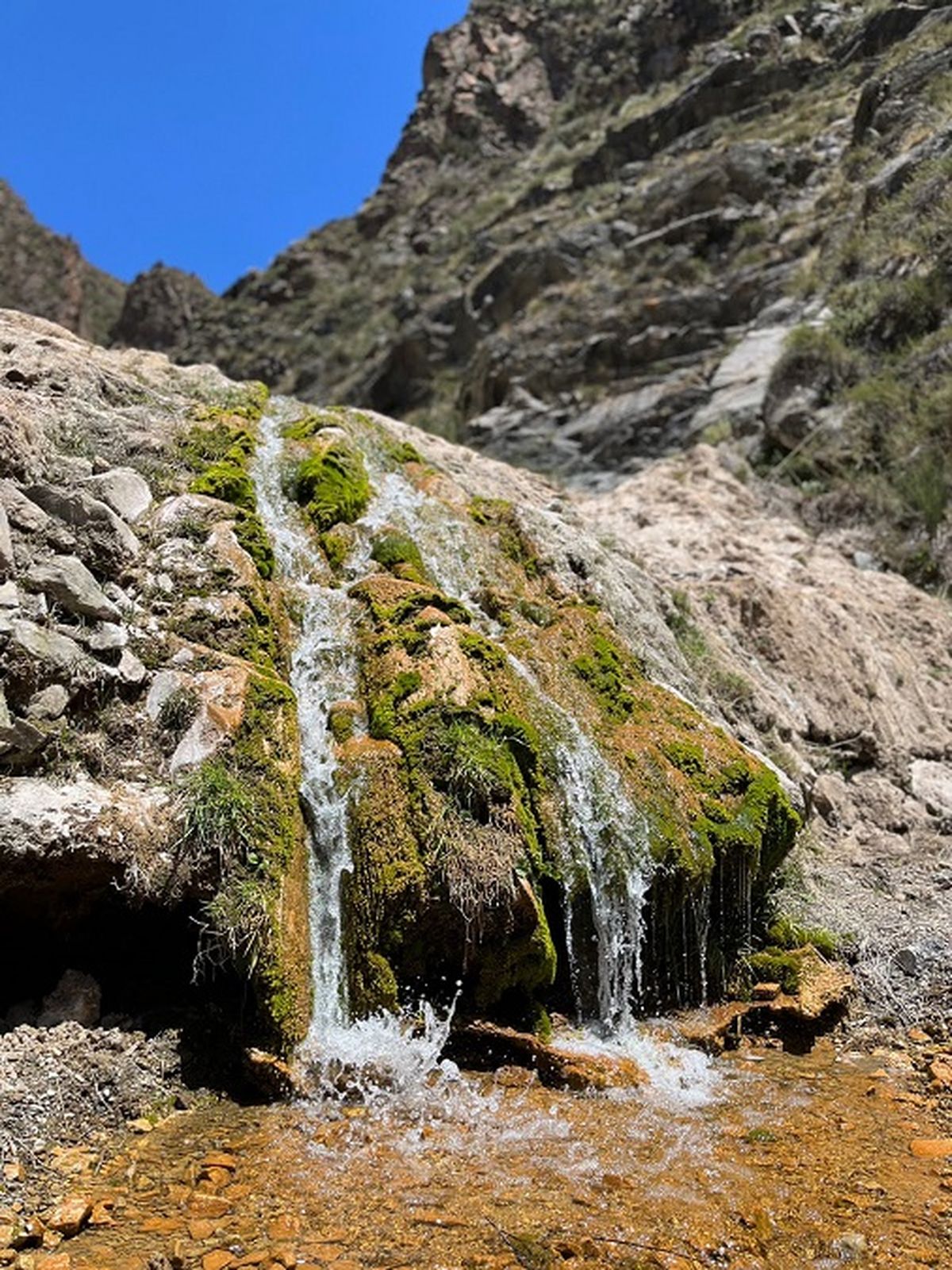 La Reserva Natural Villavicencio en Mendoza se extiende a través de más 60.000 hectáreas de un entorno protegido. La Reserva Natural Villavicencio en Mendoza se extiende a través de más 60.000 hectáreas de un entorno protegido.