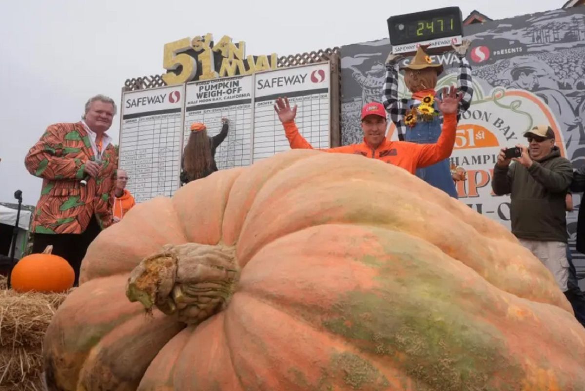 Una súper calabaza ganó el campeonato inusual.
