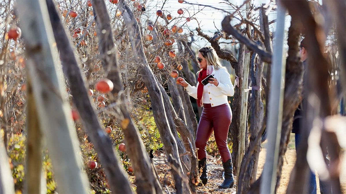 La naturaleza es una de las grandes atracciones del turismo de Mendoza.