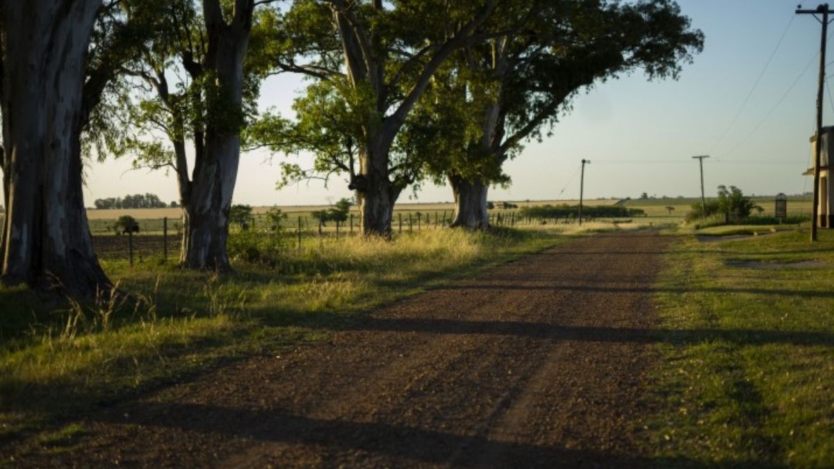 Paisaje rural típico de Entre Ríos. (Foto: Julieta Bugacoff) Paisaje rural típico de Entre Ríos. (Foto: Julieta Bugacoff)