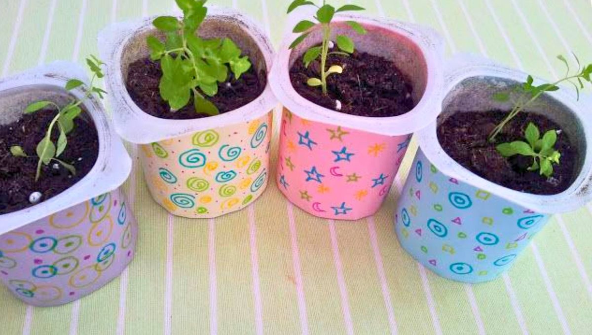 Esta idea de reciclaje te enseña como reciclar los envases de yogur para crear tu propia huerta en casa. Esta idea de reciclaje te enseña como reciclar los envases de yogur para crear tu propia huerta en casa.