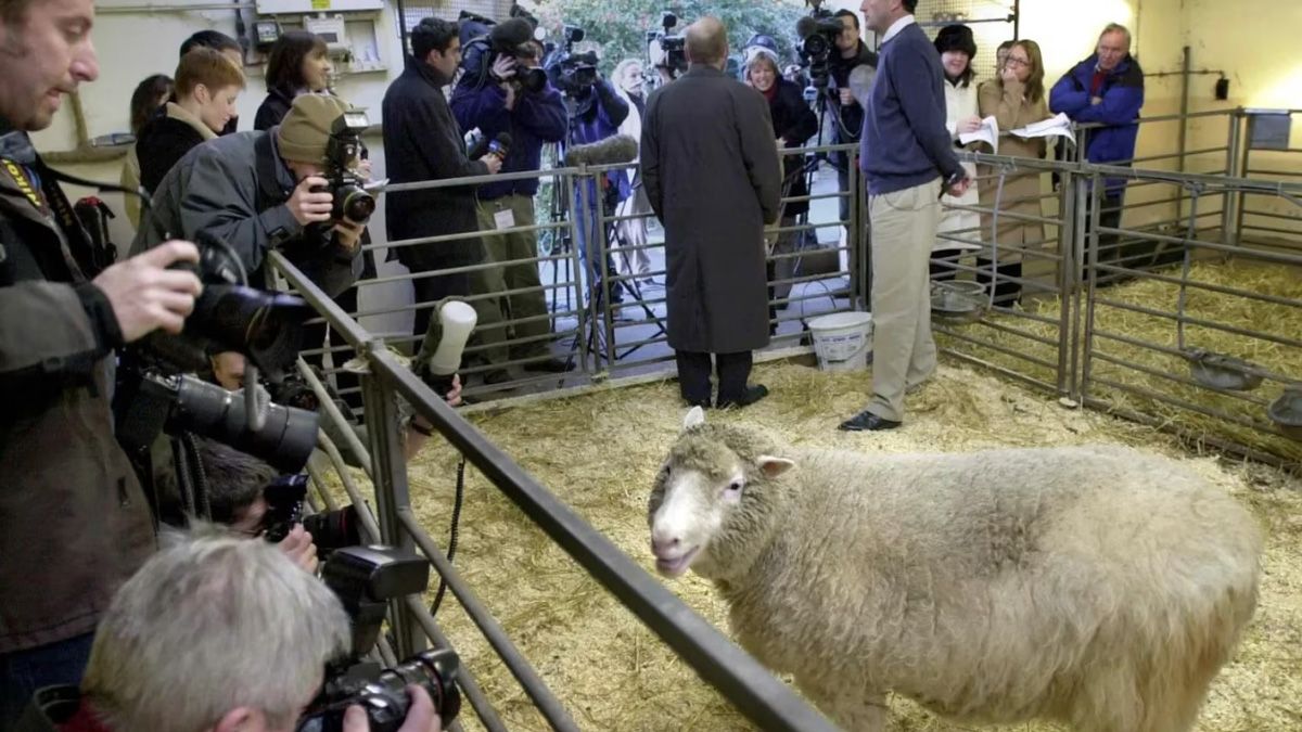 El científico Ian Wilmut, que murió a los 79 años, lideró el equipo que realizó la primera clonación de un mamífero El científico Ian Wilmut, que murió a los 79 años, lideró el equipo que realizó la primera clonación de un mamífero