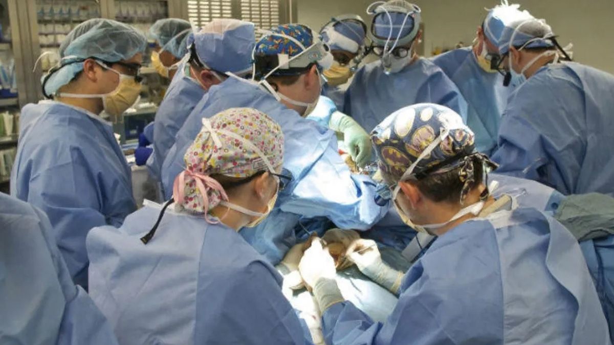 El Síndrome Urémico Hemolítico es la segunda causa de trasplante renal en niños