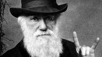 Subastan carta de Darwin en la que sienta posición sobre la Biblia