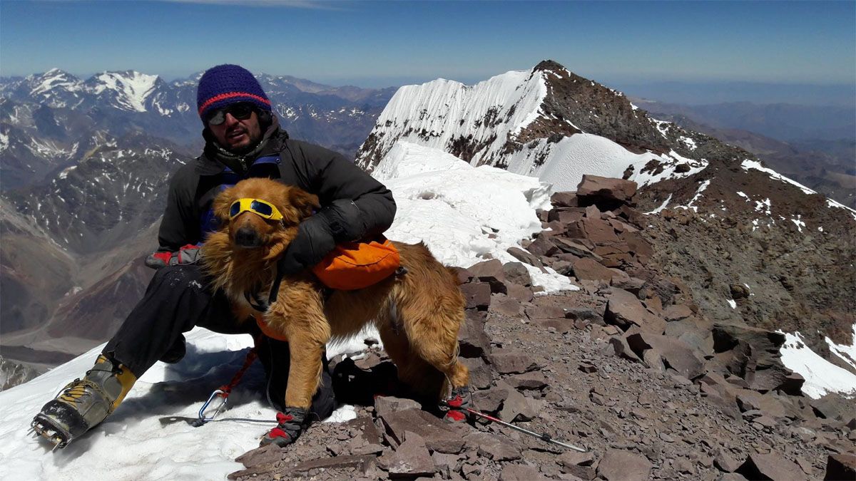 El experimentado guía mendocino Ignacio Nacho Lucero junto a su amigo fiel Oro en la cumbre del cerro Aconcagua.