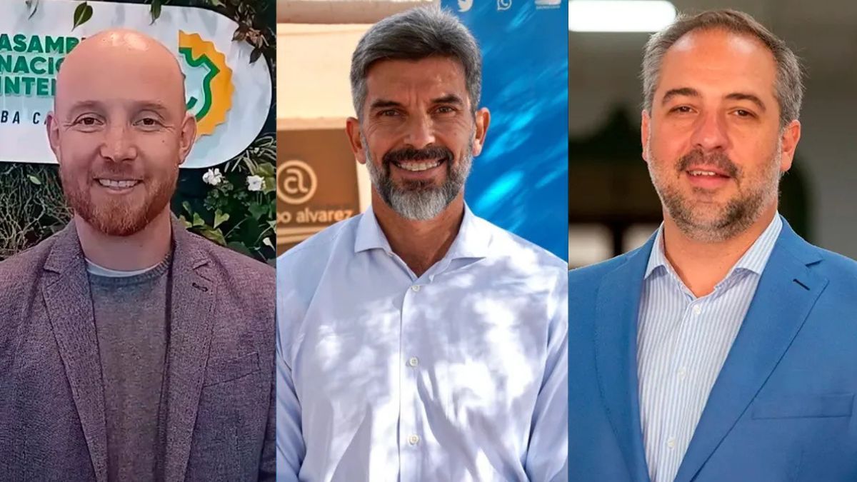 Un macrista sui generis, Esteban Allasino; un radical clásico, Ulpiano Suarez, y un peronista no K, Matías Stevanato; todos intendentes en el Gran Mendoza experimentan nuevas formas de hacer política.