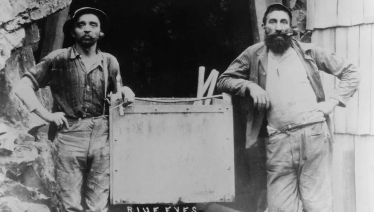 Los jeans son una prenda con mucha historia, populares y usados en todo el mundo. Los jeans son una prenda con mucha historia, populares y usados en todo el mundo.