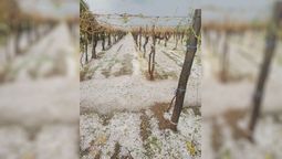 Las tormentas de granizo afectaron especialmente en Santa Rosa, donde hubo hasta un muerto.