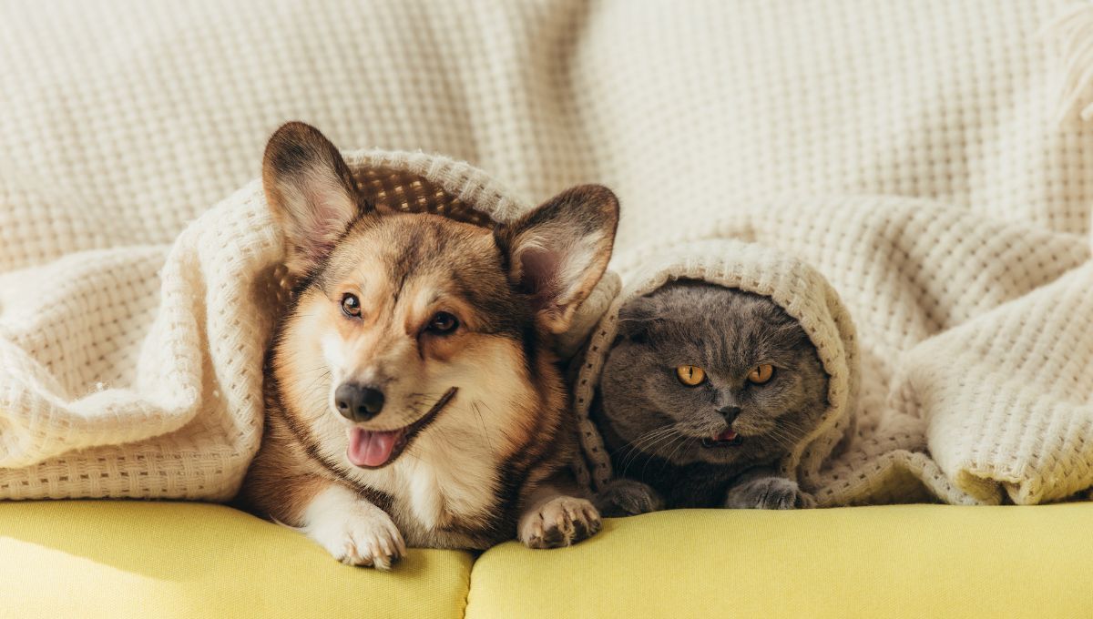 Los test de personalidad muestran lo que a menudo pasa desapercibido en tu comportamiento diario. Realiza esta prueba y descubre como te ven los demás. Los test de personalidad muestran lo que a menudo pasa desapercibido en tu comportamiento diario. Realiza esta prueba y descubre como te ven los demás.