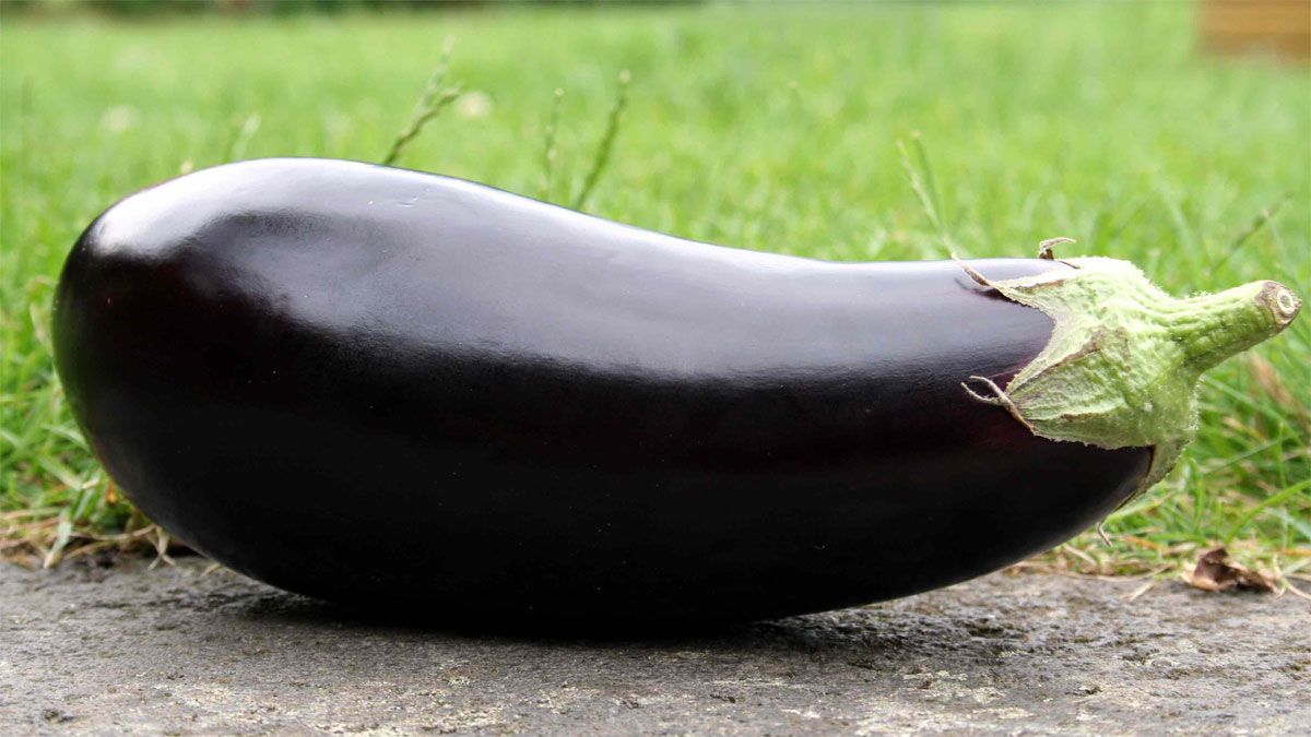 La berenjena es perfecta para realizar todo tipo de recetas.