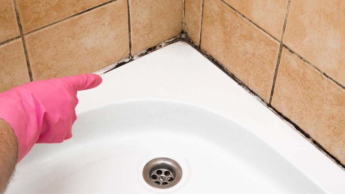 Excelentes trucos caseros para eliminar definitivamente las manchas de moho de la bañadera