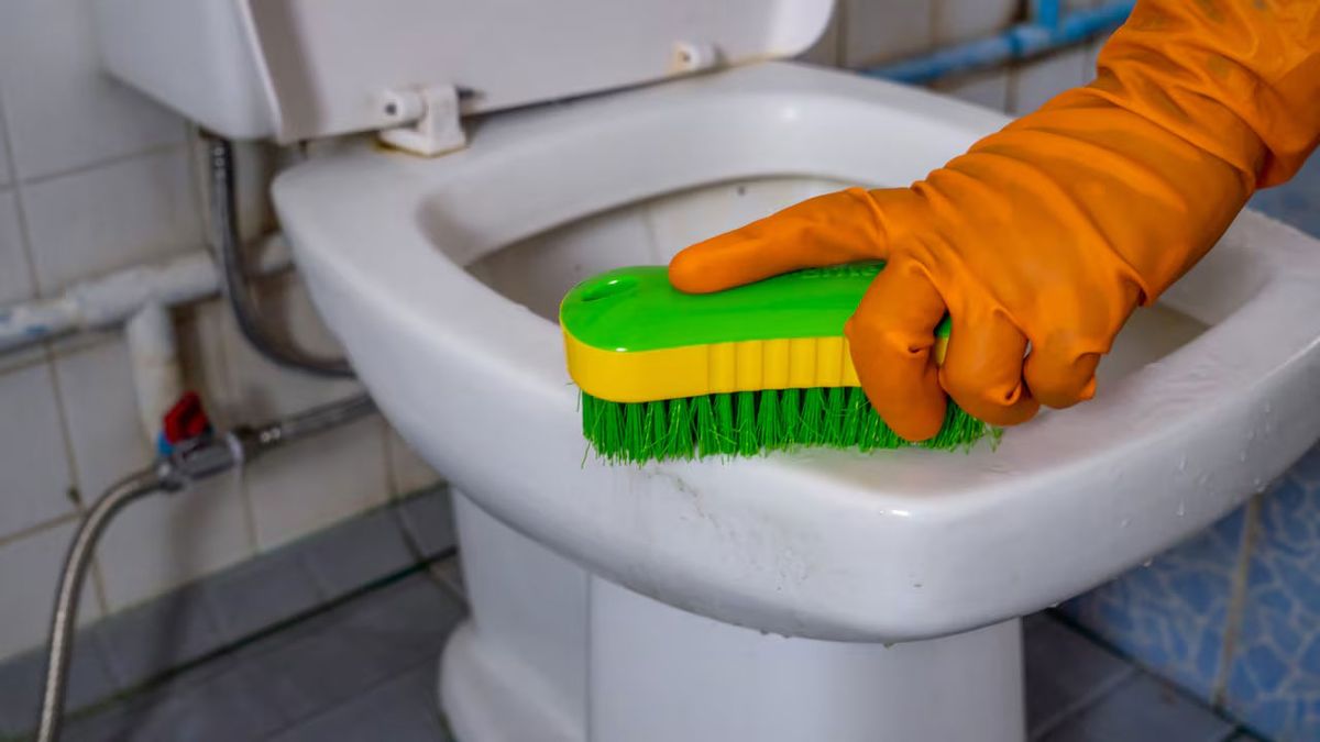 El inodoro, al igual que la tapa de plástico, se va tiñendo de amarillo con el paso de los años. El inodoro, al igual que la tapa de plástico, se va tiñendo de amarillo con el paso de los años.