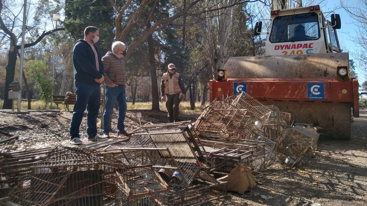 Para proteger la fauna silvestre a diario decomisan decenas de jaulas y tramperos.