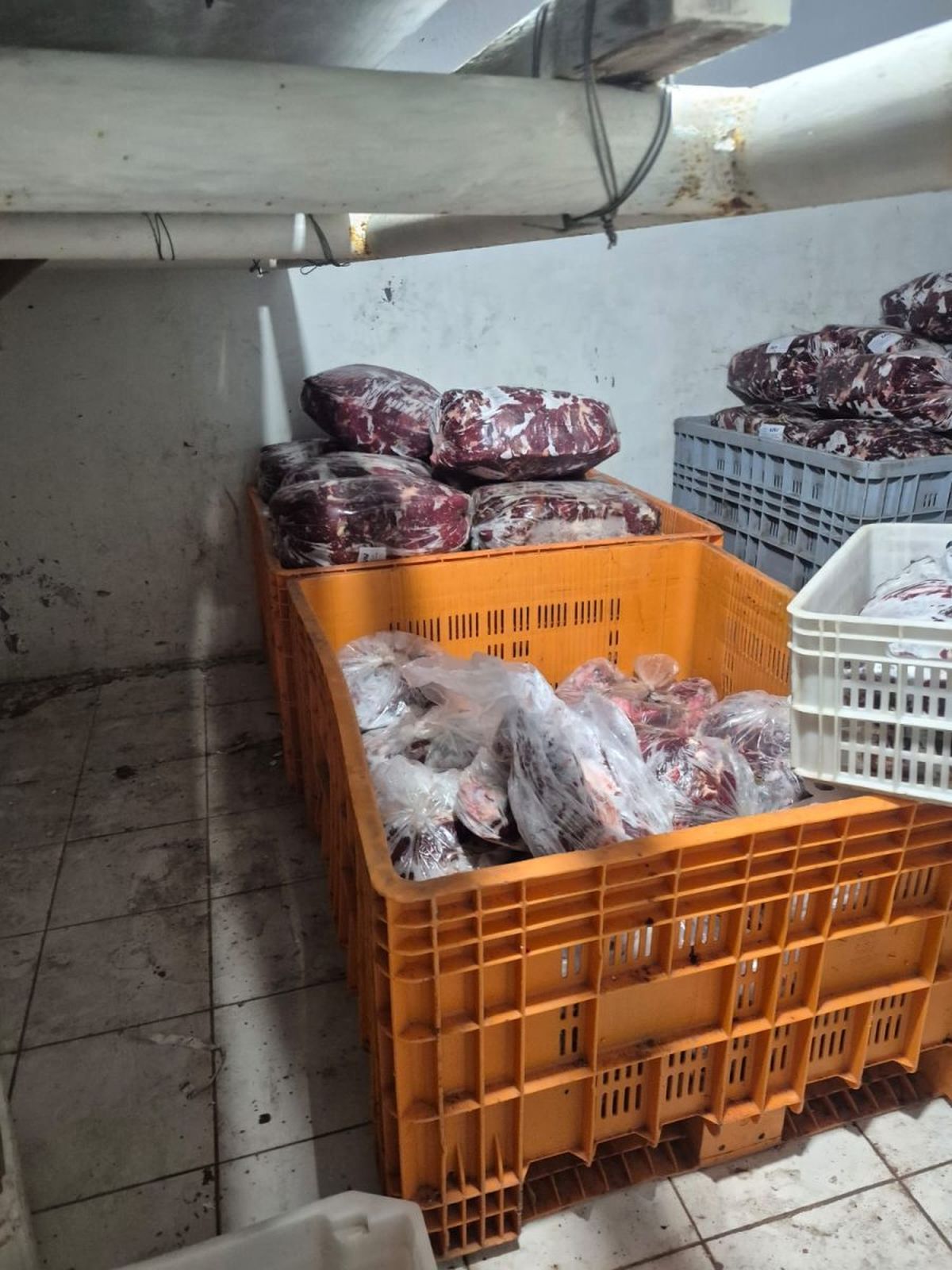 La Policía Rural incautó casi 4 toneladas de carne en mal estado y Guaymallén clausuró un comercio
