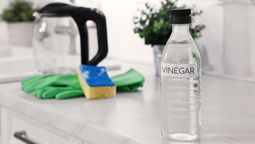 5 superficies donde jamás debes aplicar vinagre blanco cuando limpias tu hogar