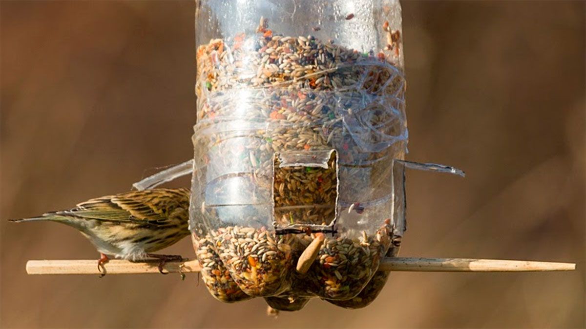 Las botellas de plásticos se pueden reutilizar de muchas maneras. Las botellas de plásticos se pueden reutilizar de muchas maneras.