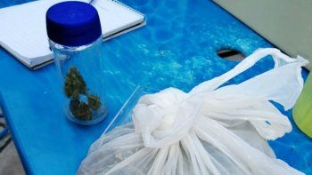 Detuvieron a un joven y encontraron un vivero de marihuana, euros y dólares