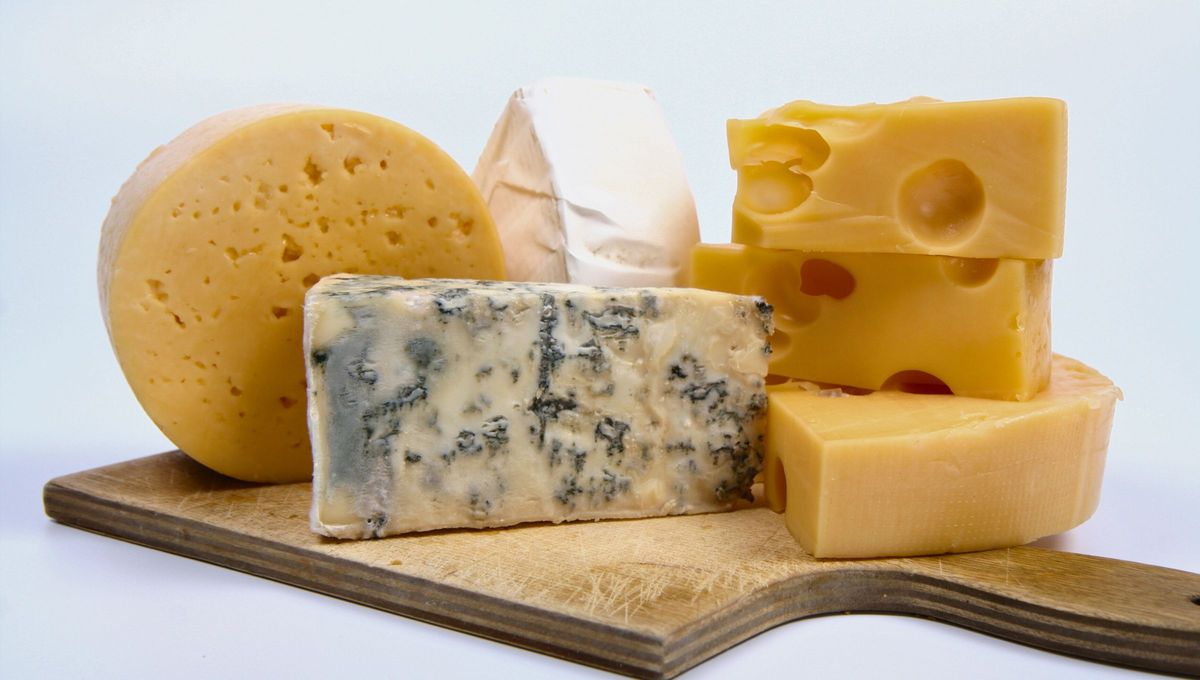 Ácaro del queso: la letal plaga que afecta a este alimento y las fiambrerías no te lo cuentan