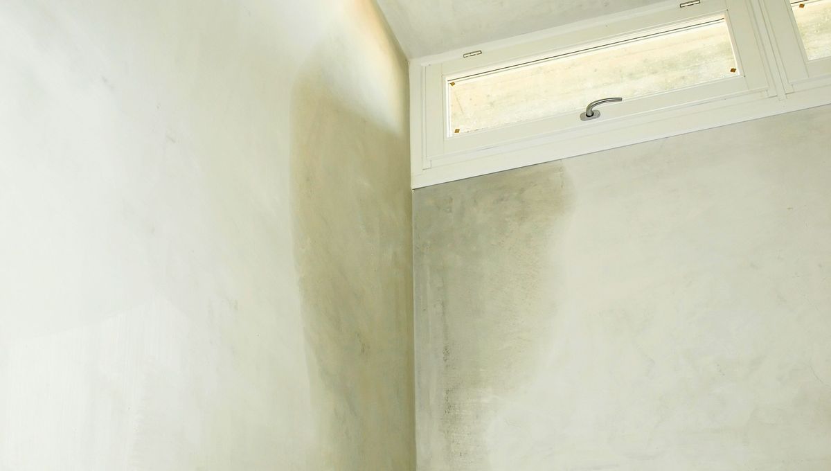 Cómo se puede recuperar una pared muy deteriorada por la humedad. Cómo se puede recuperar una pared muy deteriorada por la humedad.