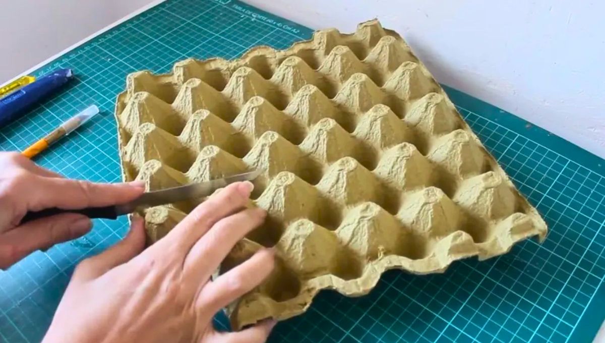 No tires los maples de huevo luego de usarlos, son un verdadero tesoro del reciclaje. No tires los maples de huevo luego de usarlos, son un verdadero tesoro del reciclaje.