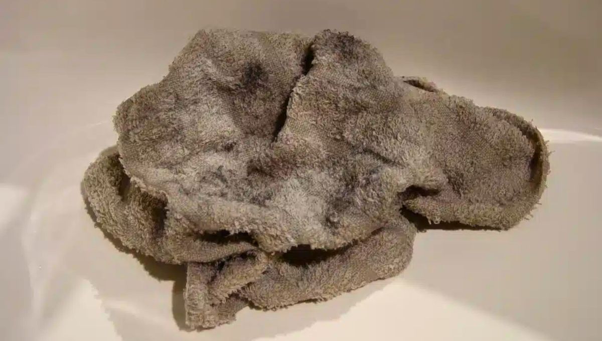 Por qué hay que remojar las toallas de baño en vinagre: ¿qué significa?