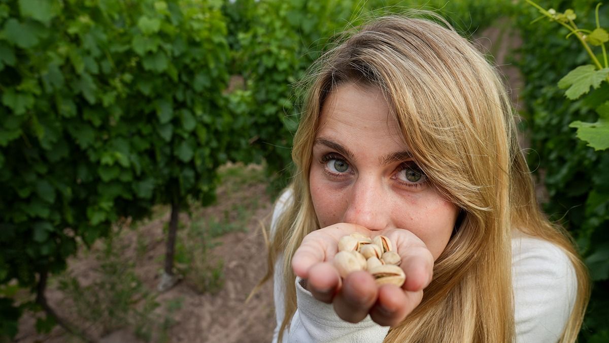 El pistacho, un fruto seco sutil que está pasando por un El pistacho, un fruto seco sutil que está pasando por un