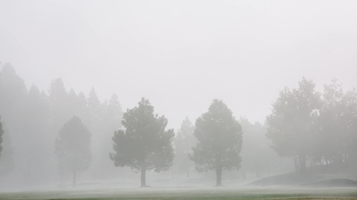 Toma las medidas necesarias para cuidarte Toma las medidas necesarias para cuidarte