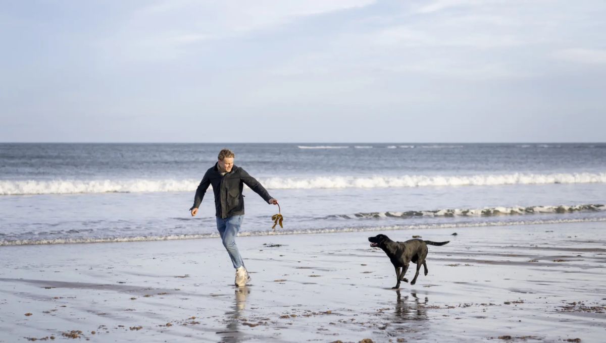 El descubrimiento se logró luego del análisis de áreas en Estados Unidos.