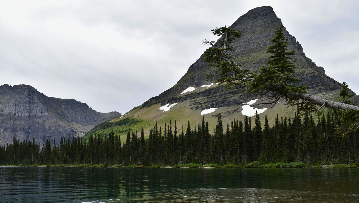 &nbsp;Los picos que tocan las nubes y los animales &uacute;nicos dentro de este Parque nos cuentan una historia de millones de a&ntilde;os de evoluci&oacute;n. Adem&aacute;s, su paisaje tur&iacute;stico te deja boquiabierto.