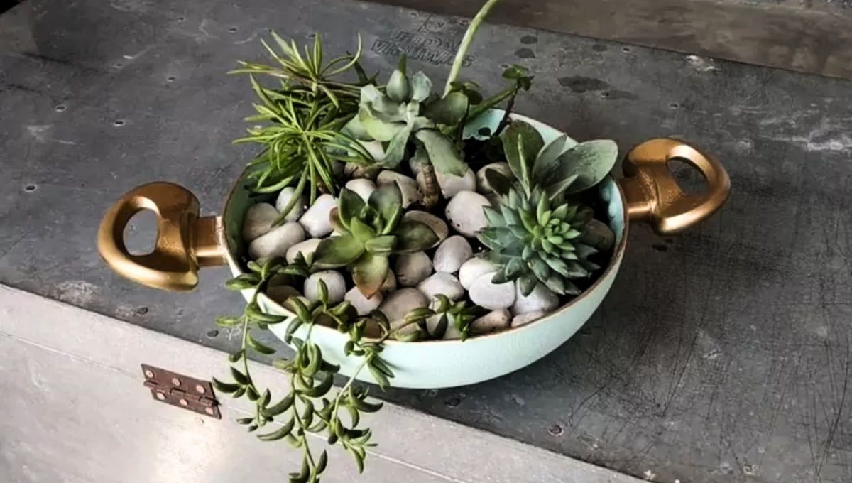 Cómo convertir tu sartén vieja en una maceta para tu jardín: truco práctico y sencillo