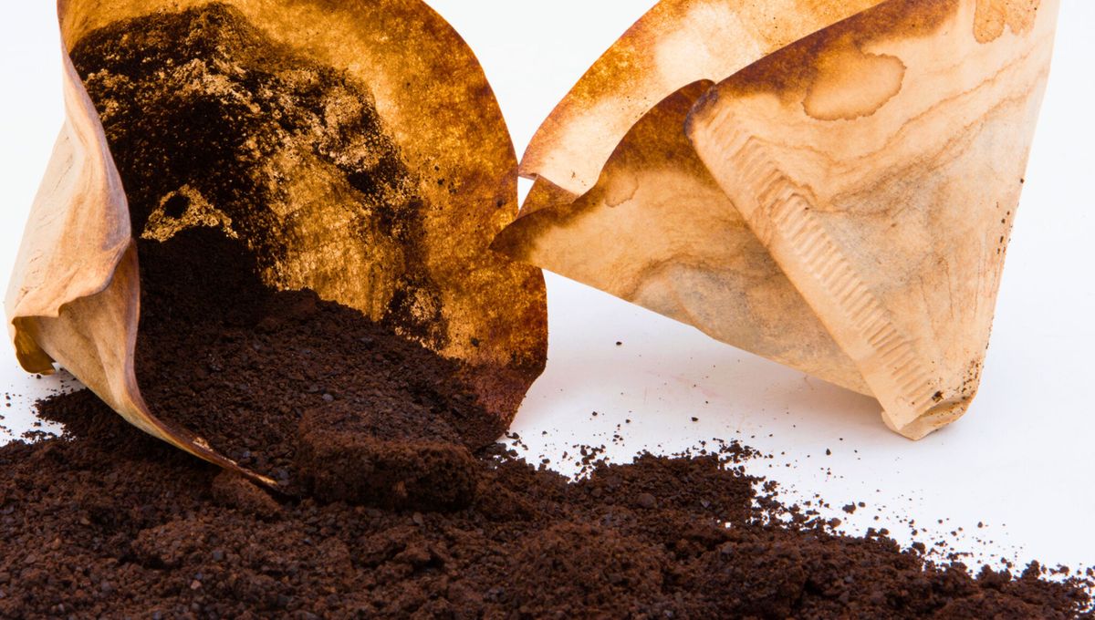 Limpia bien los filtros y elementos con los que preparas café Limpia bien los filtros y elementos con los que preparas café