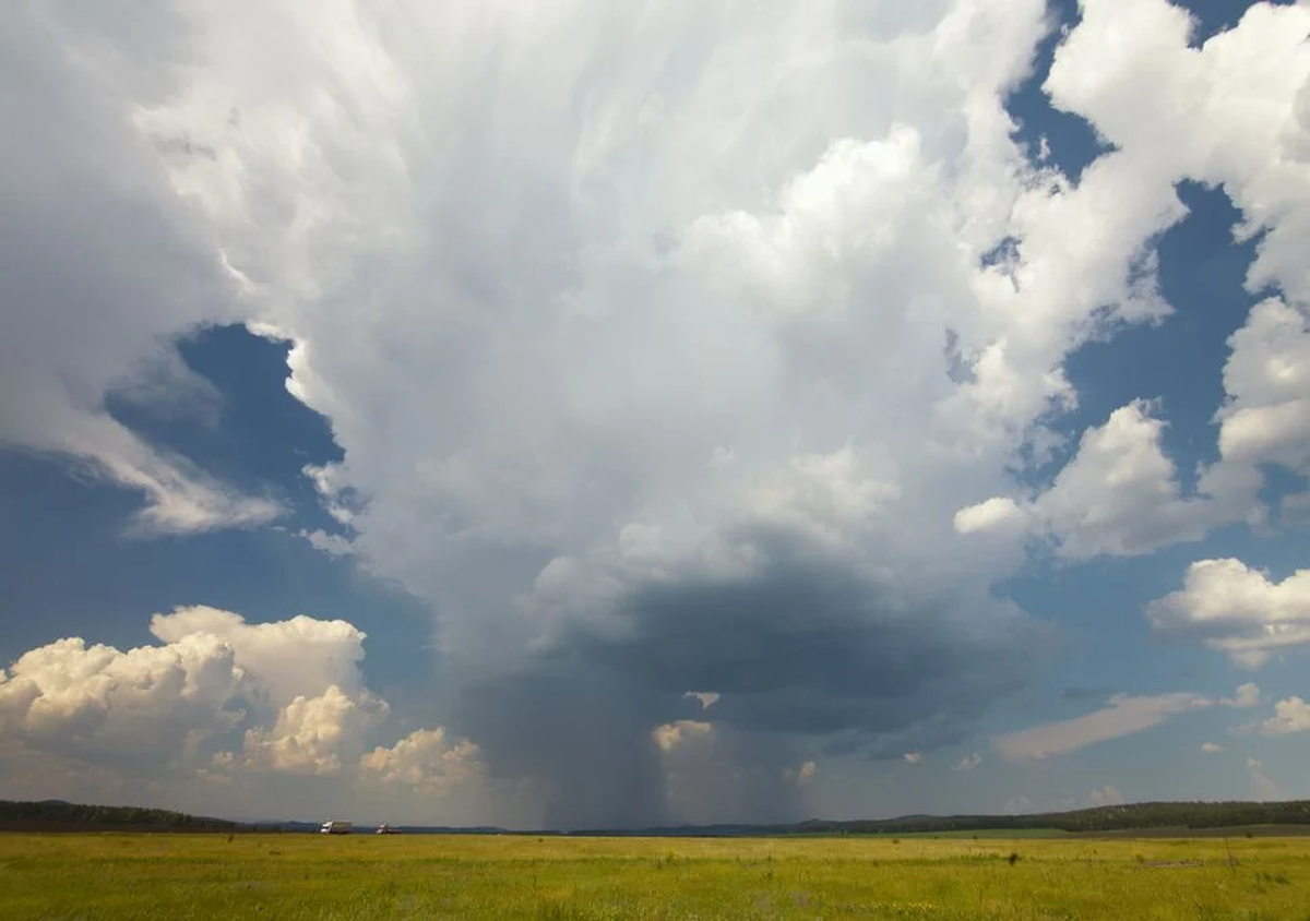 Tomá las medidas necesarias para cuidarte. Tomá las medidas necesarias para cuidarte.